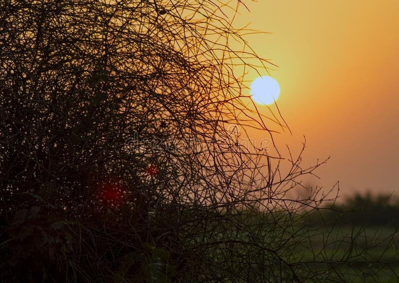 sunset and 28 november