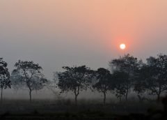 weather and 26 november