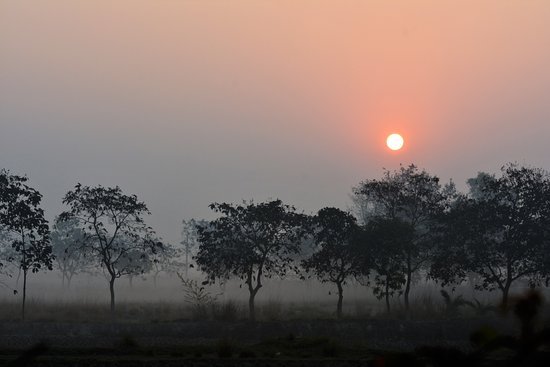 weather and 26 november