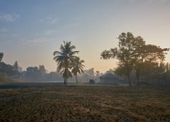 sun rise