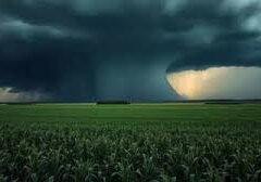 Weather Forecast