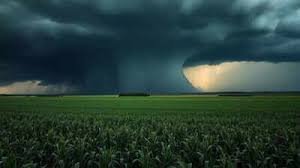 Weather Forecast